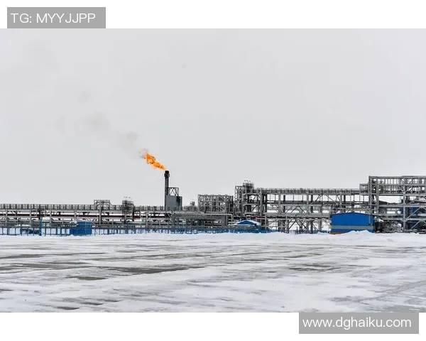 亚马尔地区的能源战略与全球气候变化的互动关系研究