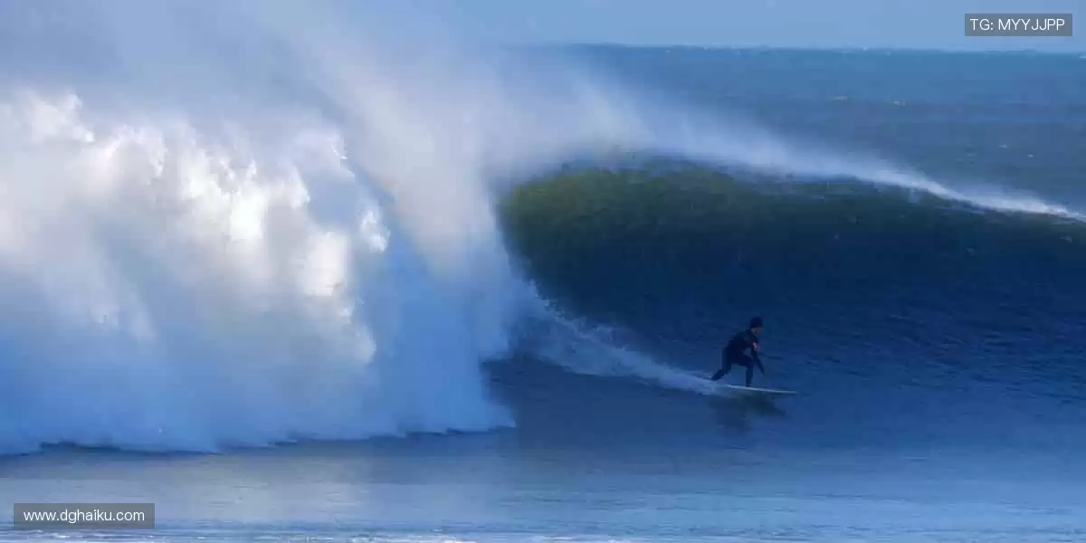 ✨ 周边狂欢,折扣来袭!用热爱装点生活,让热血永不落幕🛒
